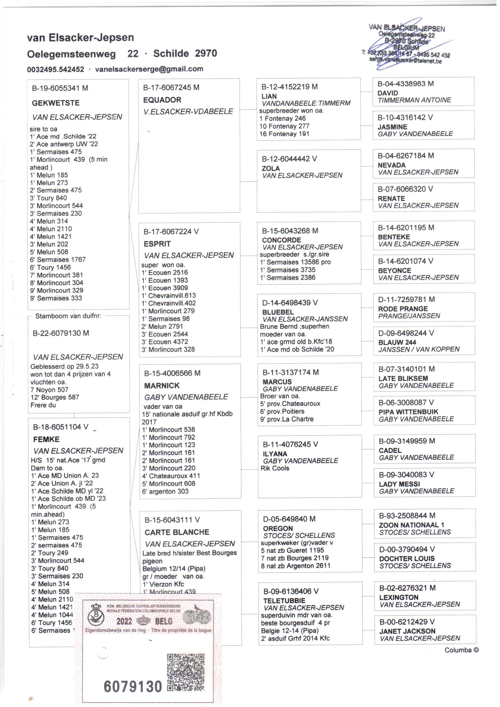 pedigree Zoon Esprit x Femke 