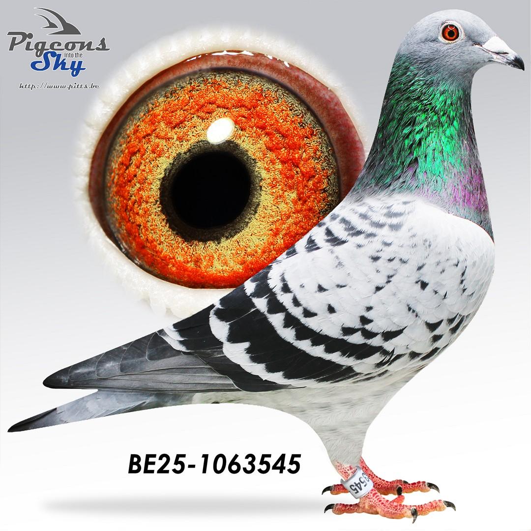 Le 74 x Dochter La Splendide 