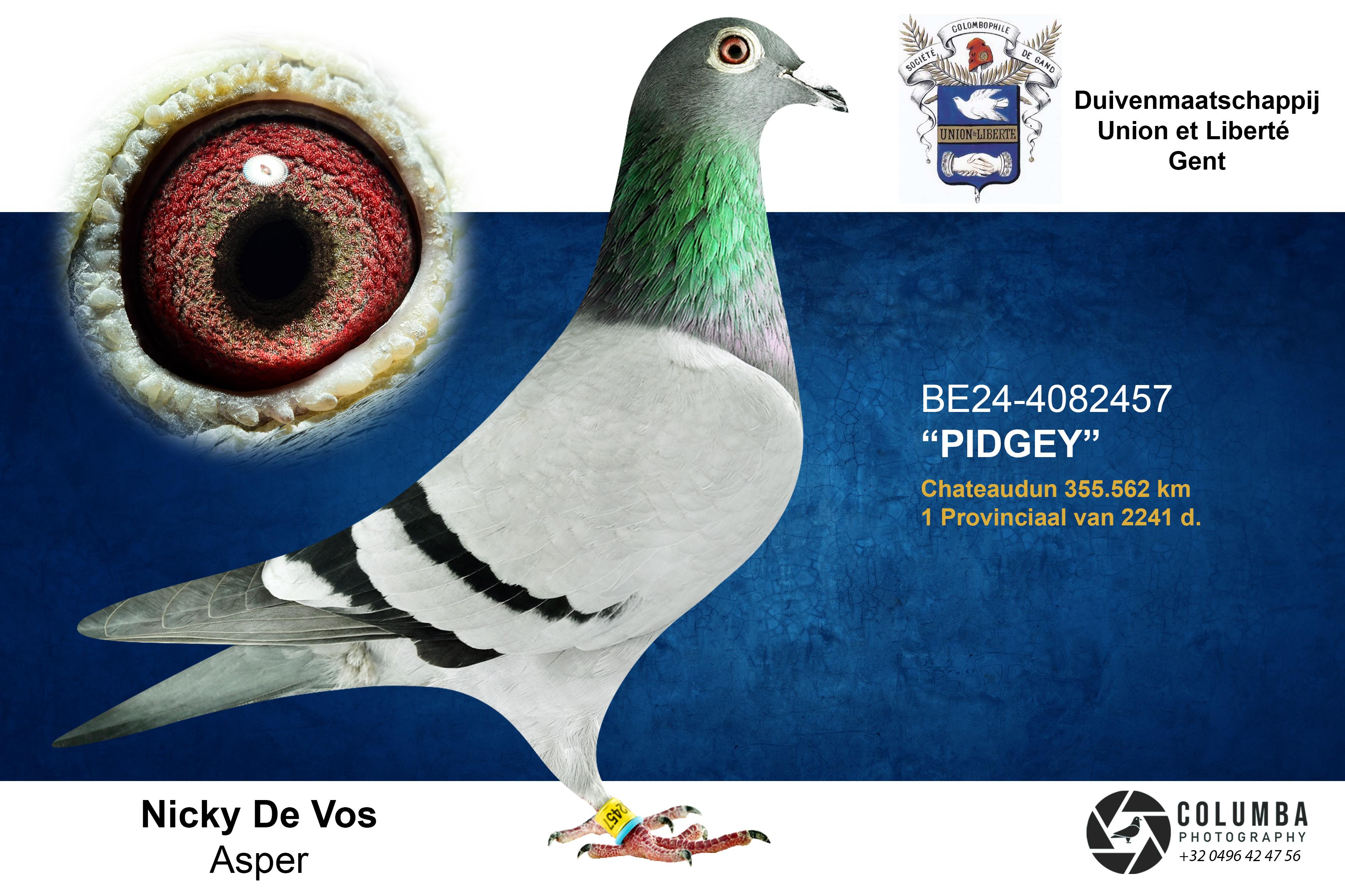 De Vos Nicky, Asper-Gavere