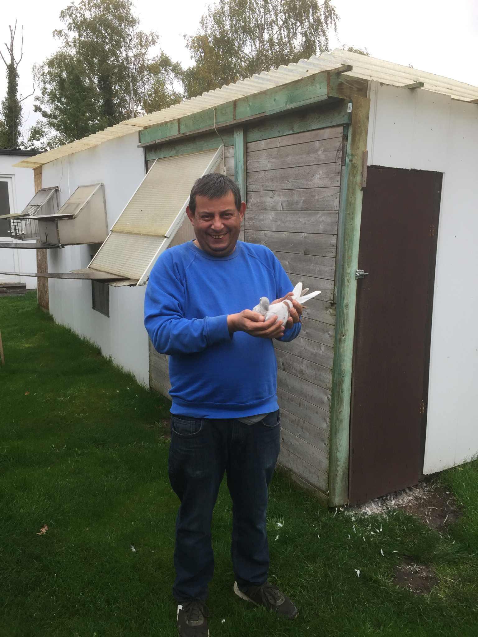 Van Dijck Julien Appels Jonge duif 2026 op afspraak