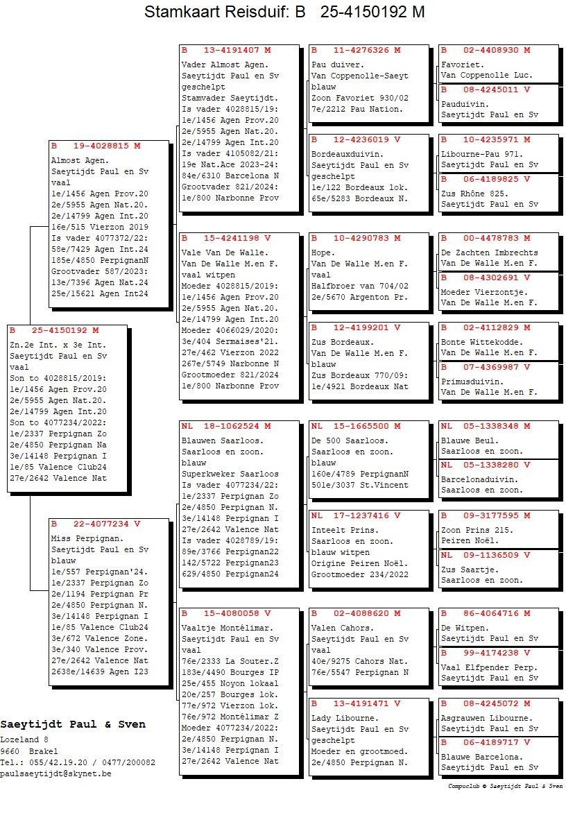 pedigree Zoon 2° Internationaal Agen 2020 x 3° Internationaal Perpignan 2024
