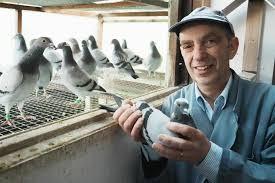 	Claus Eric (De Pinte)