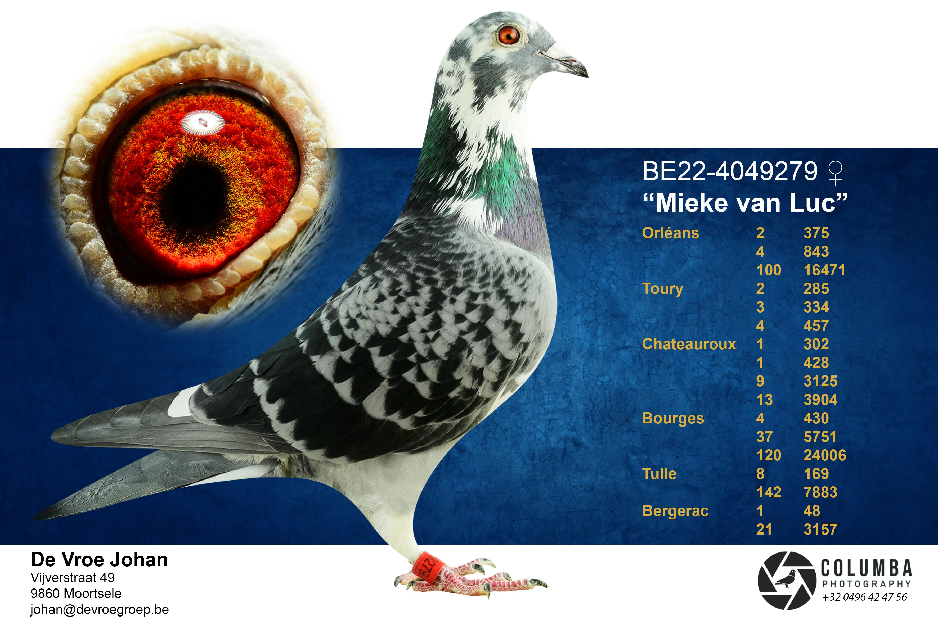 De Vroe Johan ( Moortsele ) - Familie