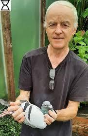 •	Velghe Patrick (Oudenaarde)