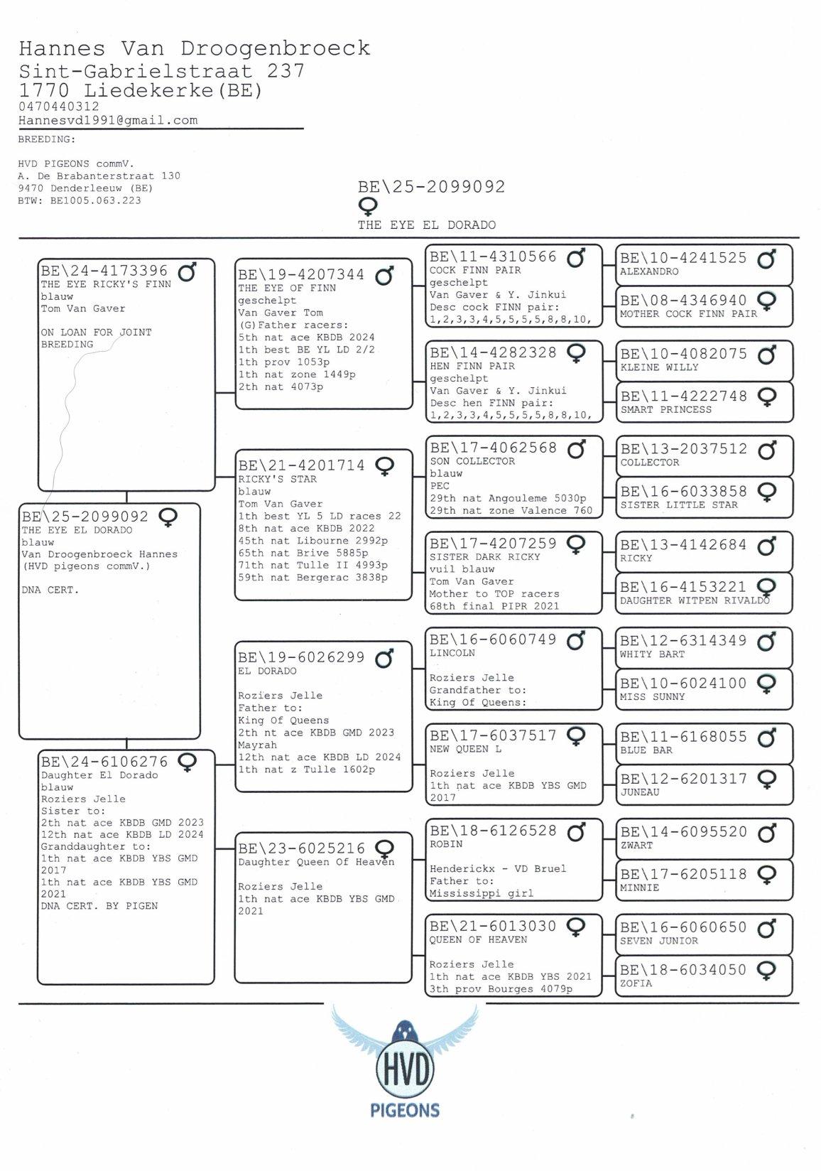 pedigree VAN DROOGENBROECK HANNES - Liedekerke