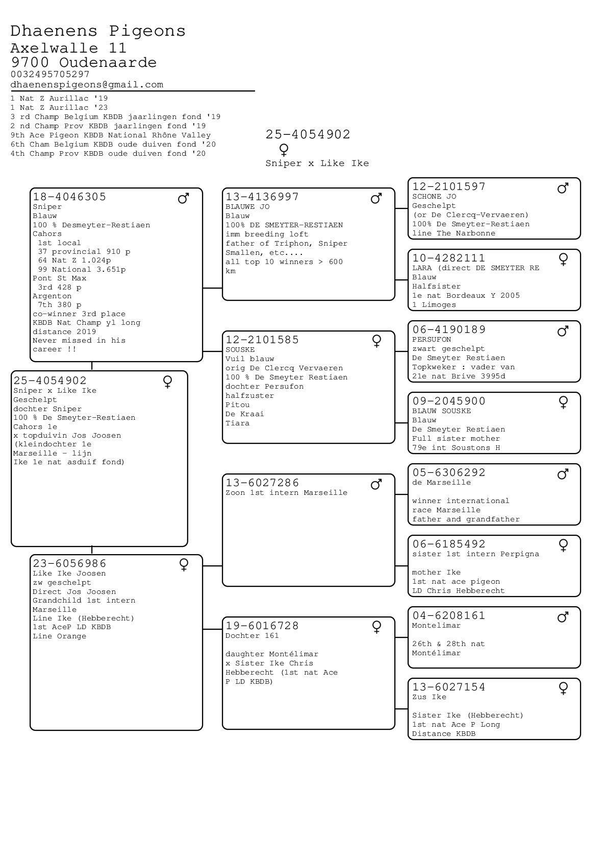 Pedigree van 	Dhaenens Pigeons (Antoine & Geert)