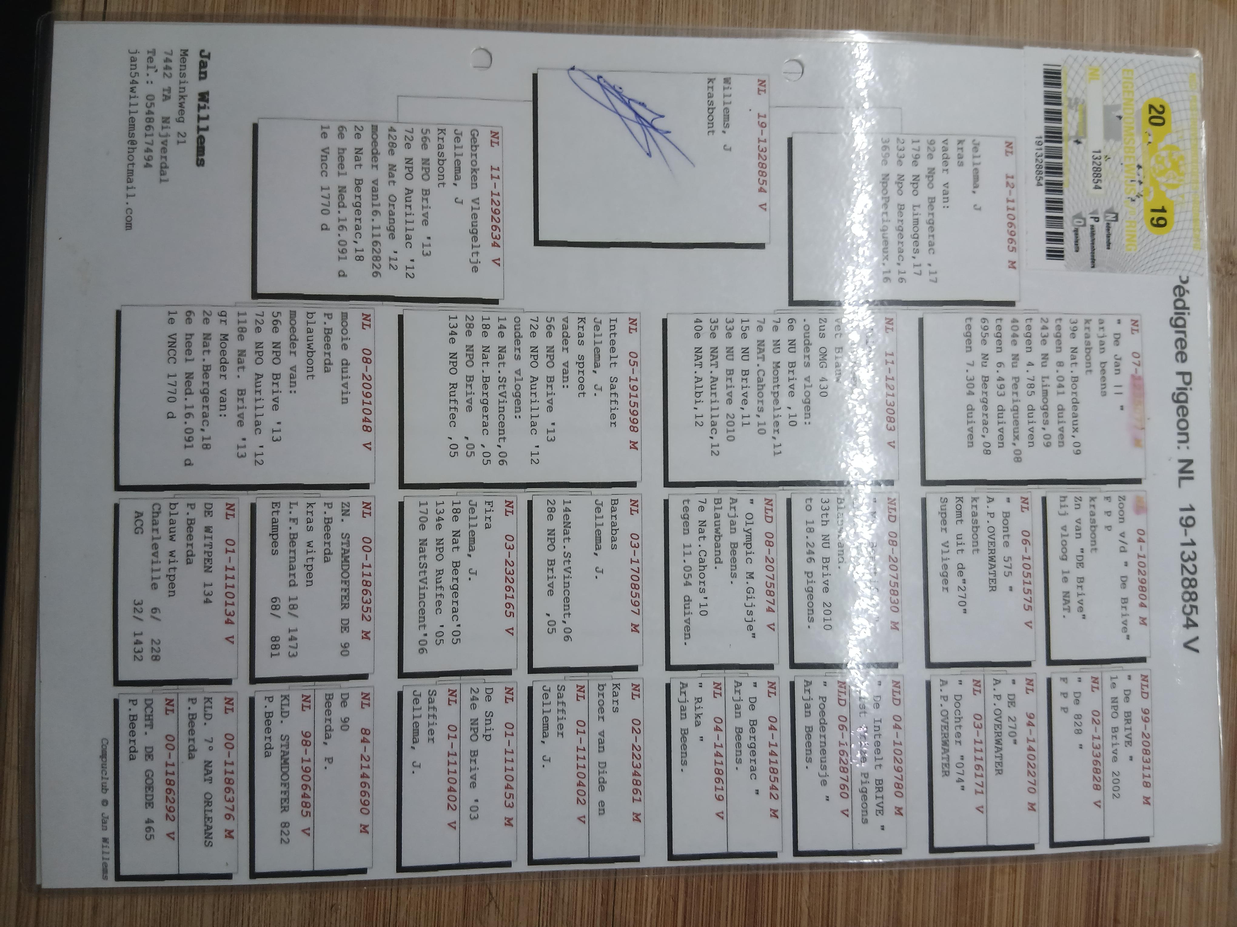 pedigree •	Team Vanhaesevelde-Ceuterick (Zwalm)