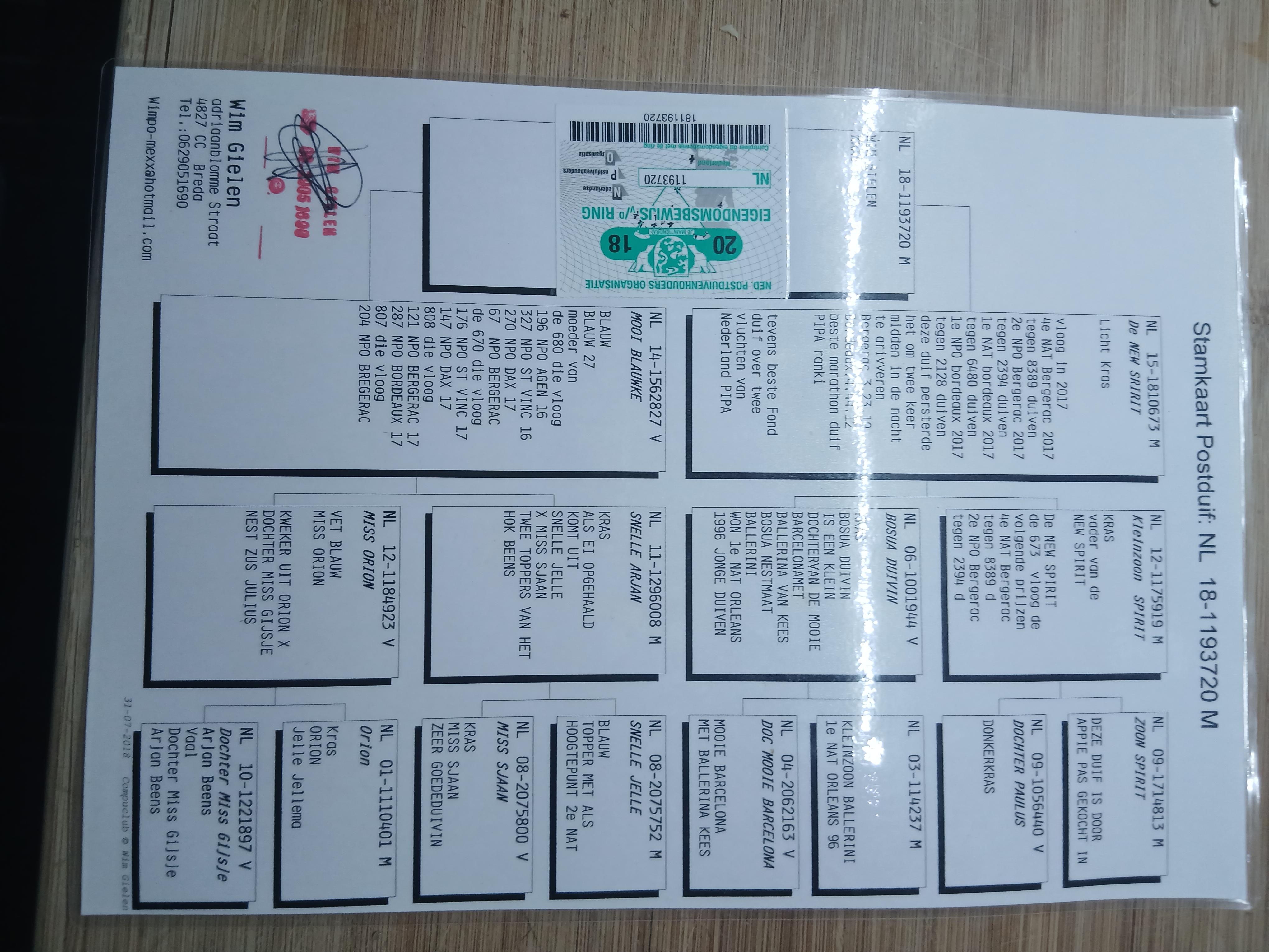 Pedigree van •	Team Vanhaesevelde-Ceuterick (Zwalm)