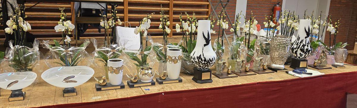 PITTS-20260117 Bevel-PITTS-Trofee-2-PITTS