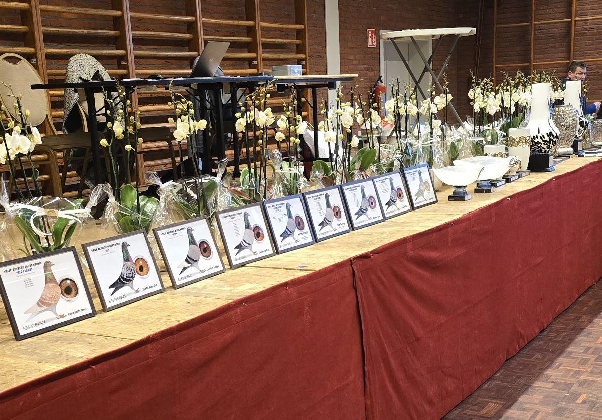 PITTS-20260117 Bevel-PITTS-Trofee-1-PITTS