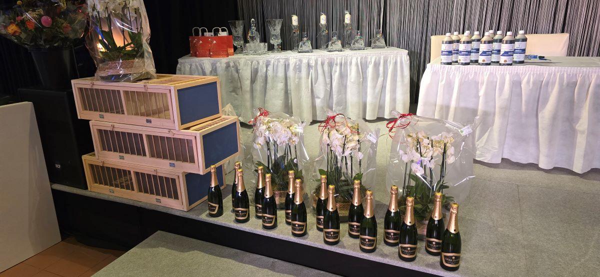 PITTS-2025 Turnhoutse Fond PITTS Trofee-2-PITTS