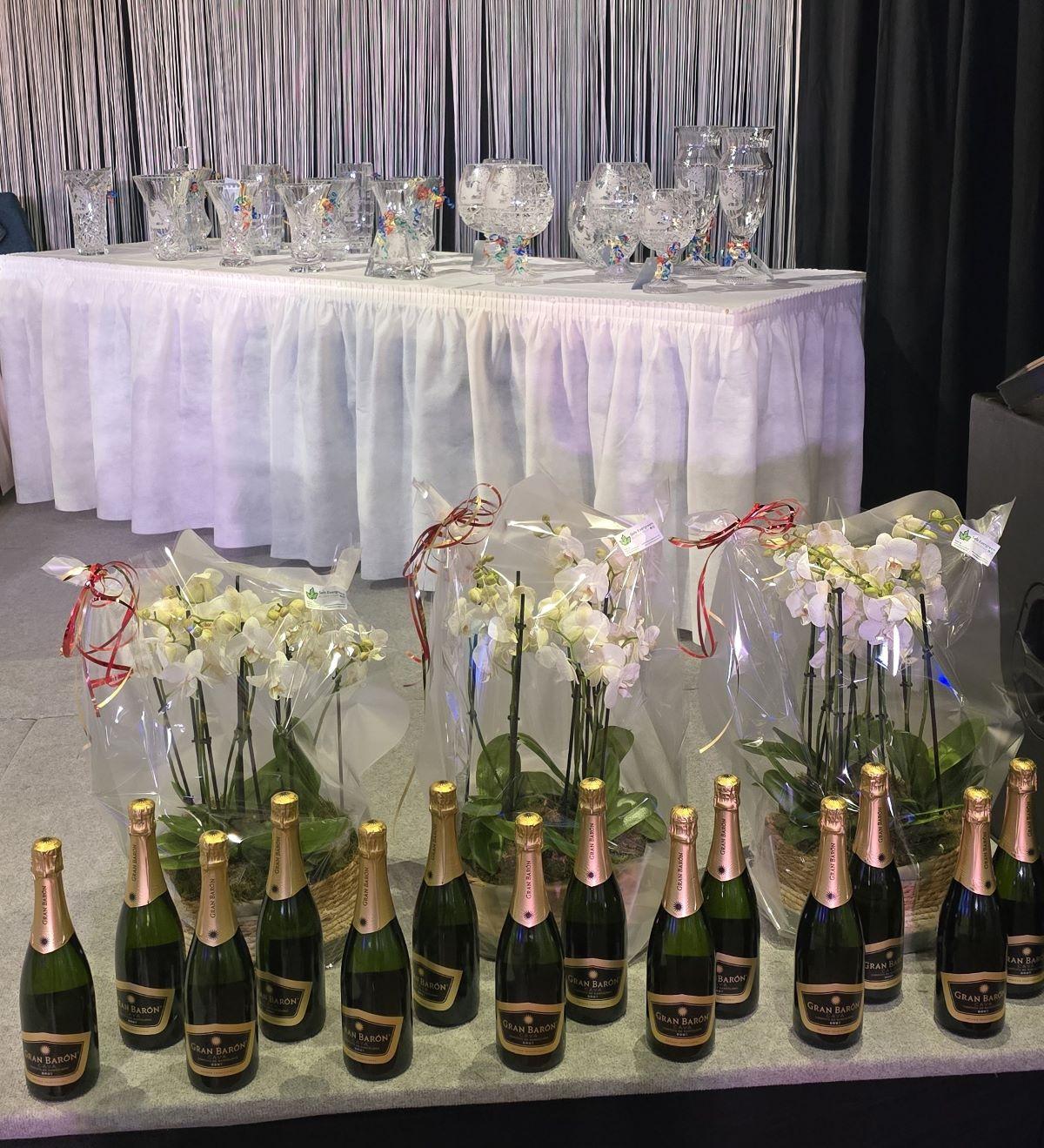 PITTS-2025 Turnhoutse Fond PITTS Trofee-1-PITTS