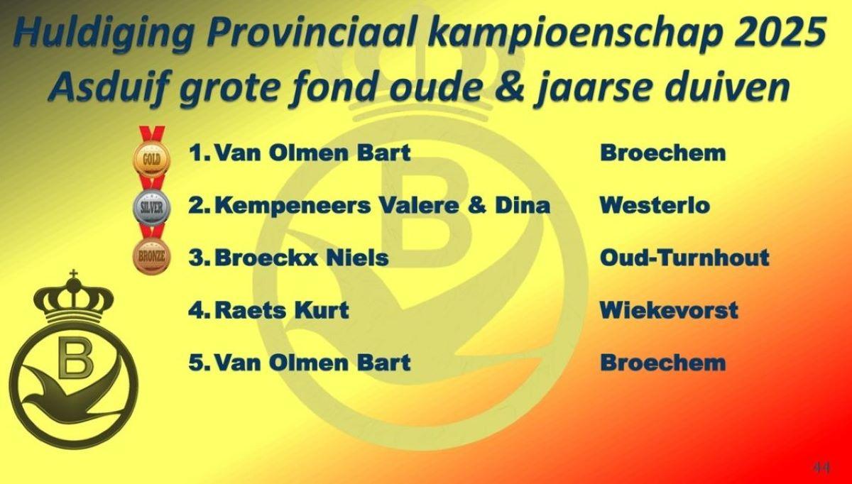 2025 PE ANTWERPEN Provinciale Kampioenenviering-pag-44 (Asduif Grote Fond oude & jaarse)