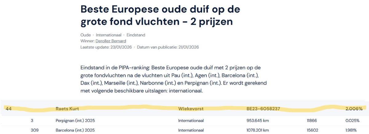 BE23-6058237 '237' 44e Beste Europese oude duif op de grote fond vluchten - 2 pr