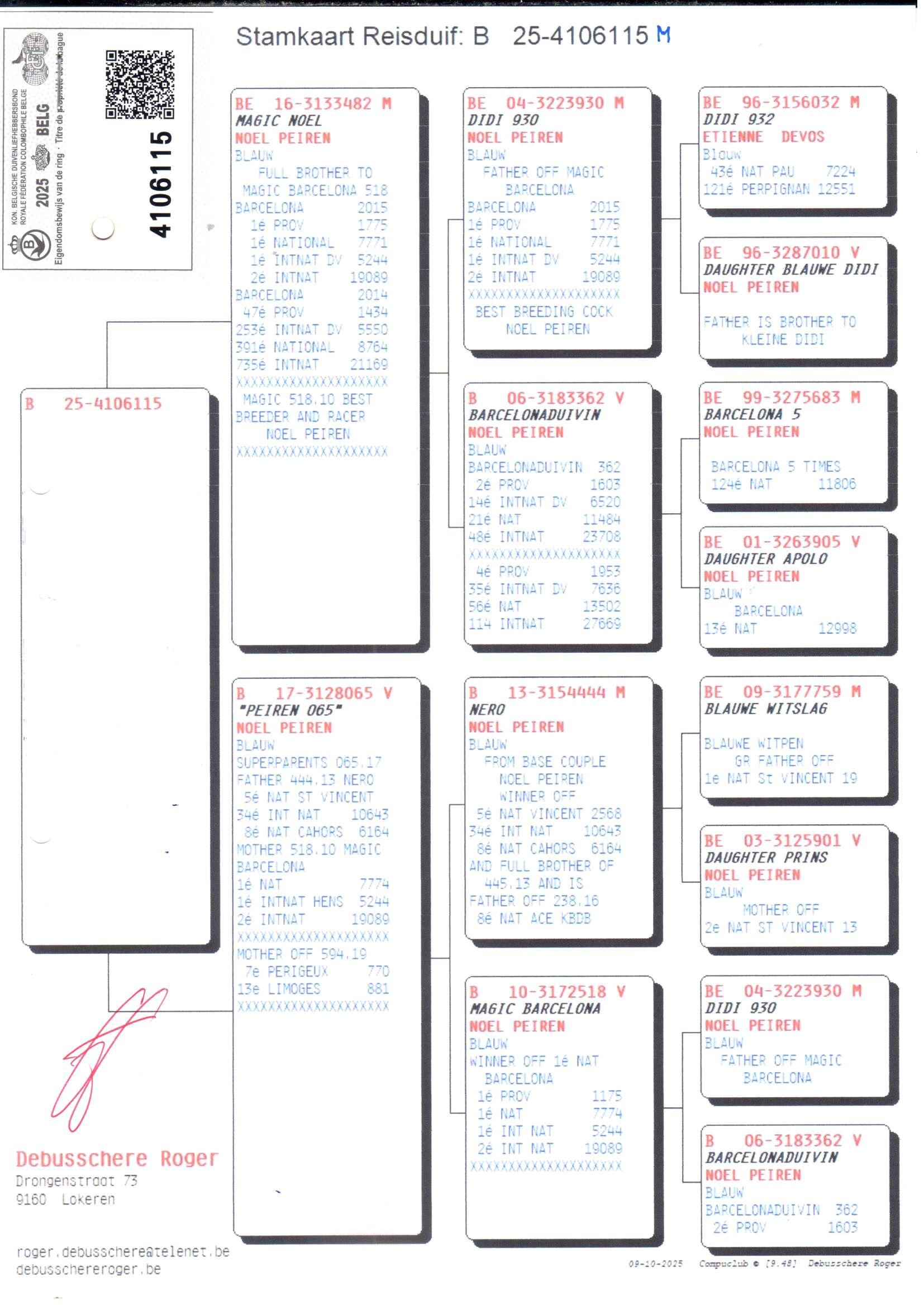 pedigree Magic Noel x Peiren 065