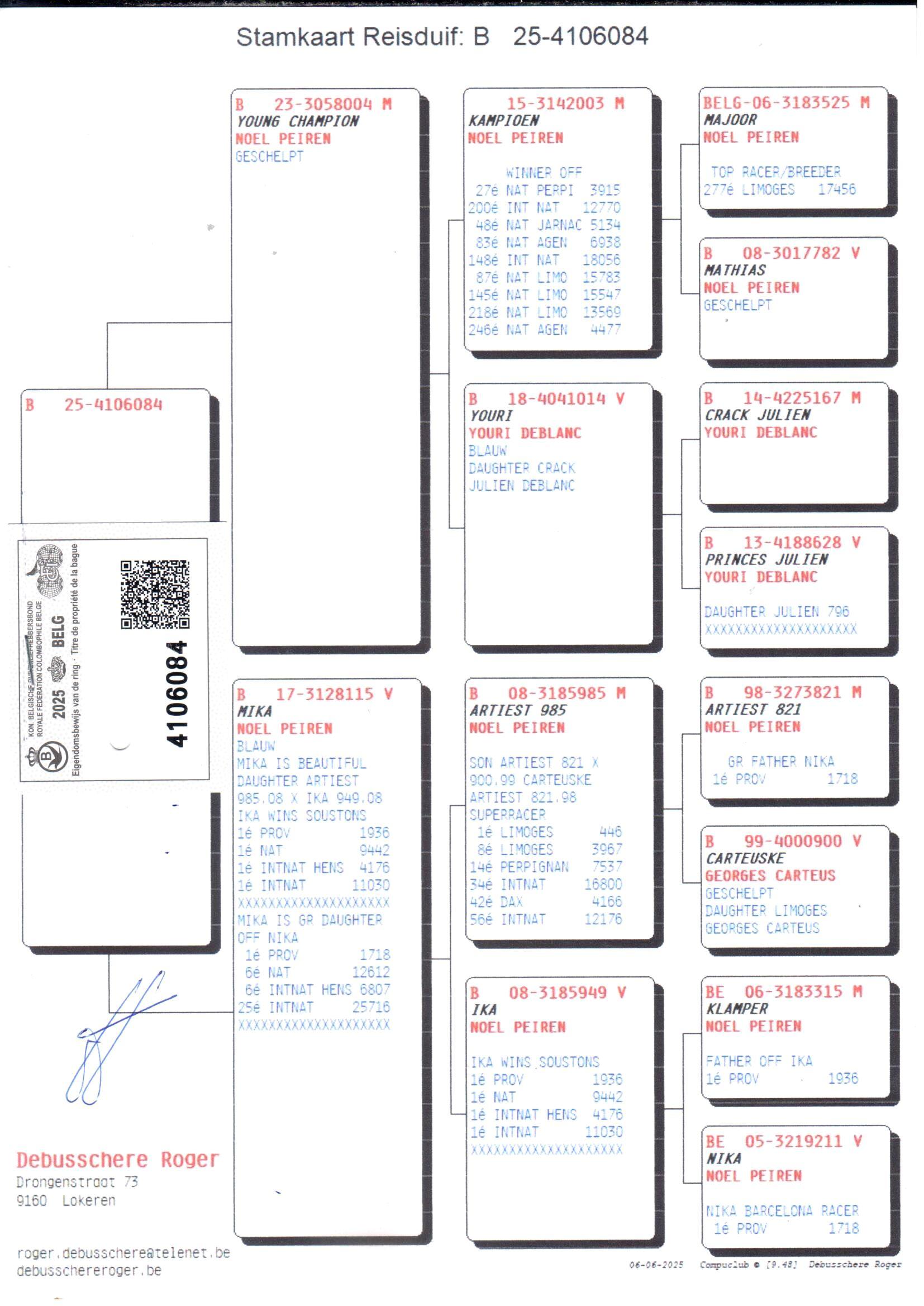 pedigree Young Champion x Mika