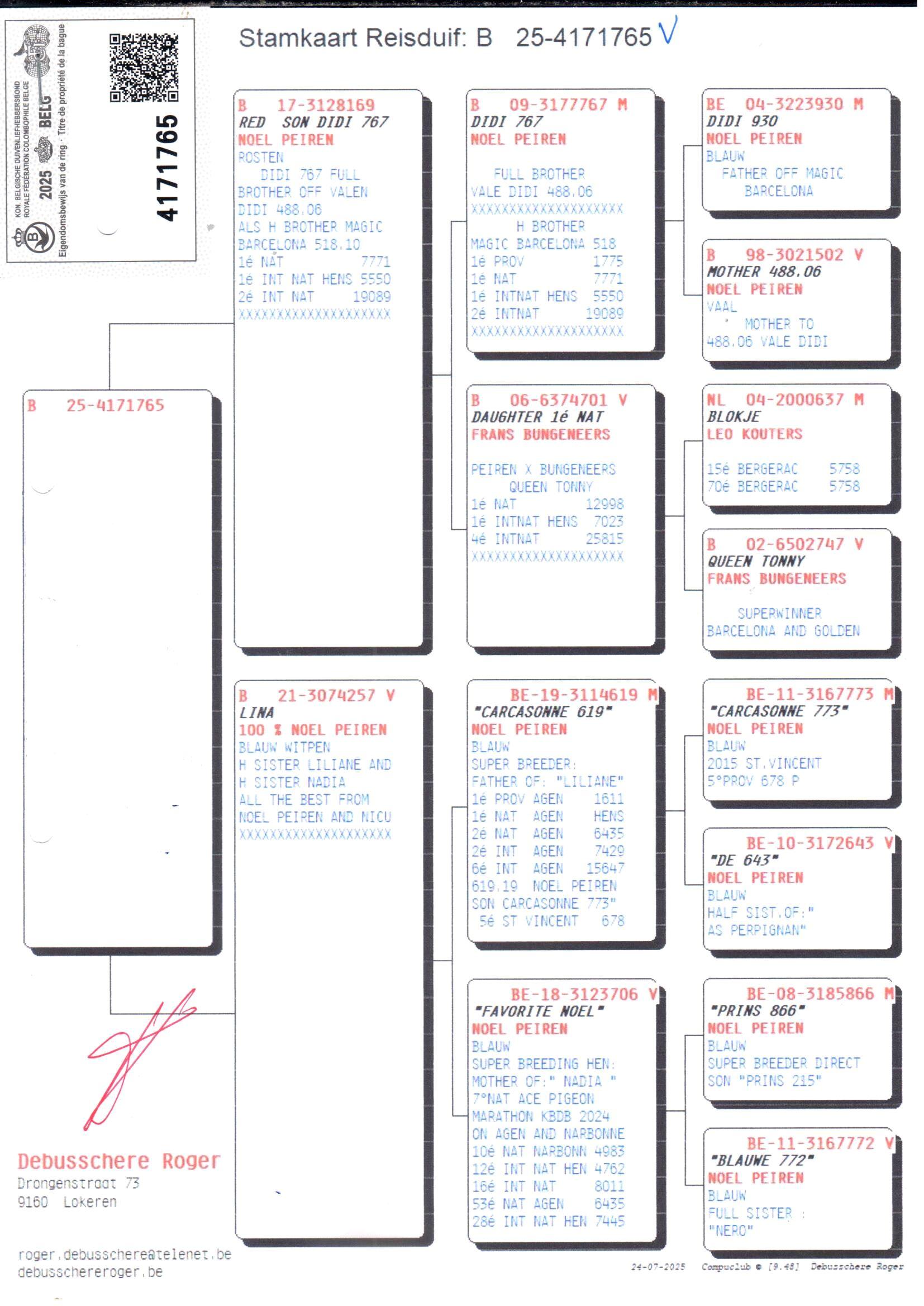 pedigree Red Son Didi 767 x Lina