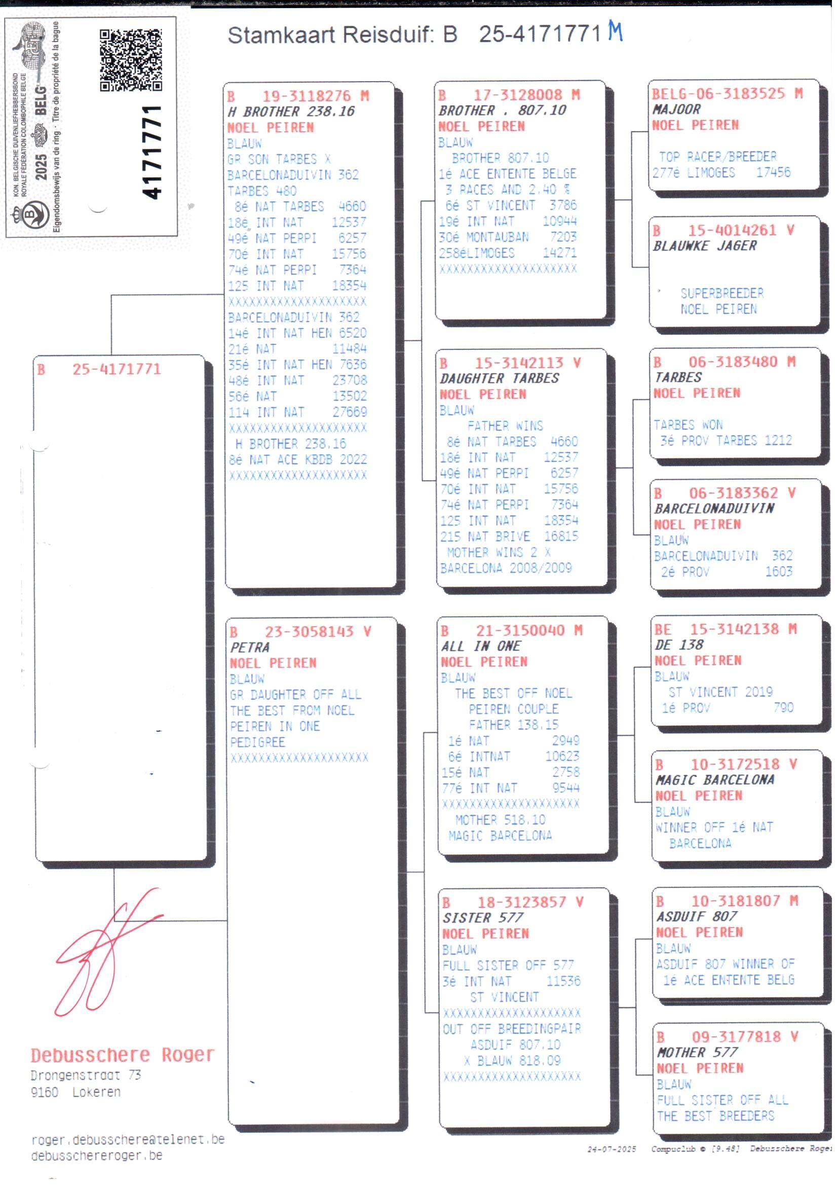 pedigree Halfbroer 238.16 x Petra