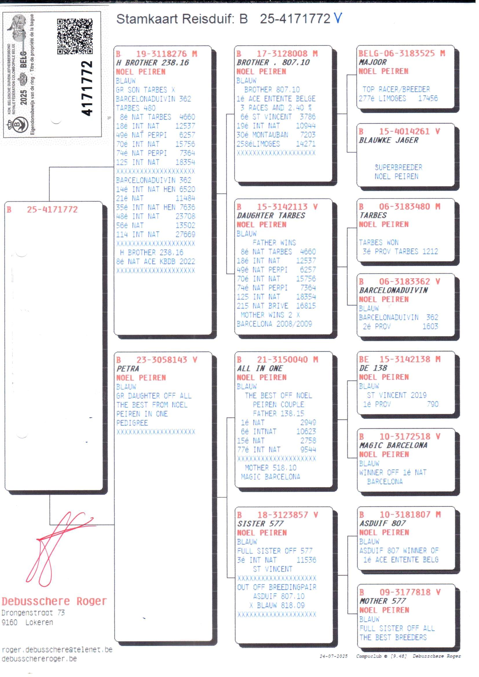 pedigree Halfbroer 238.16 x Petra