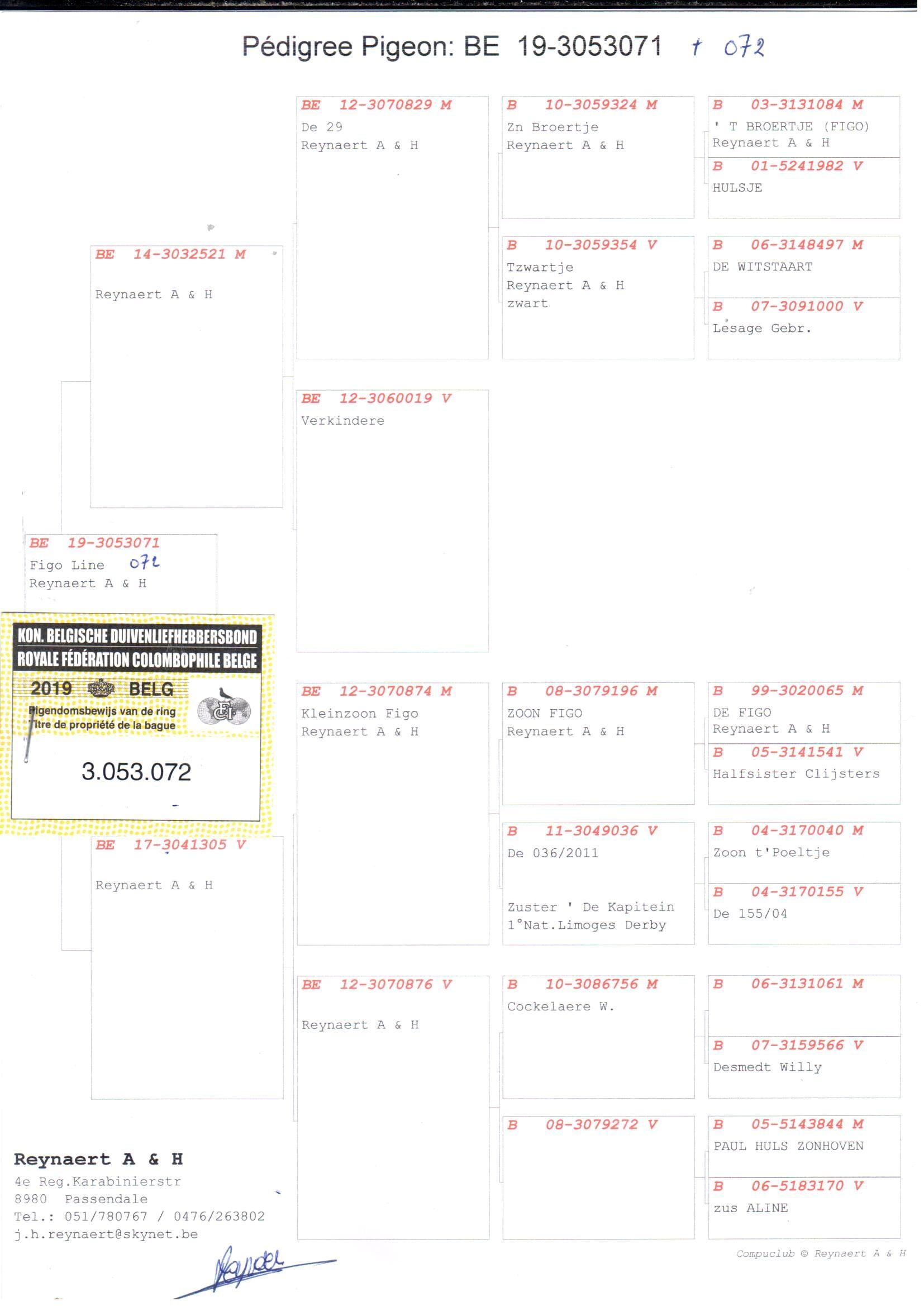 pedigree Zoon De 29 x Dochter Kleinzoon Figo 