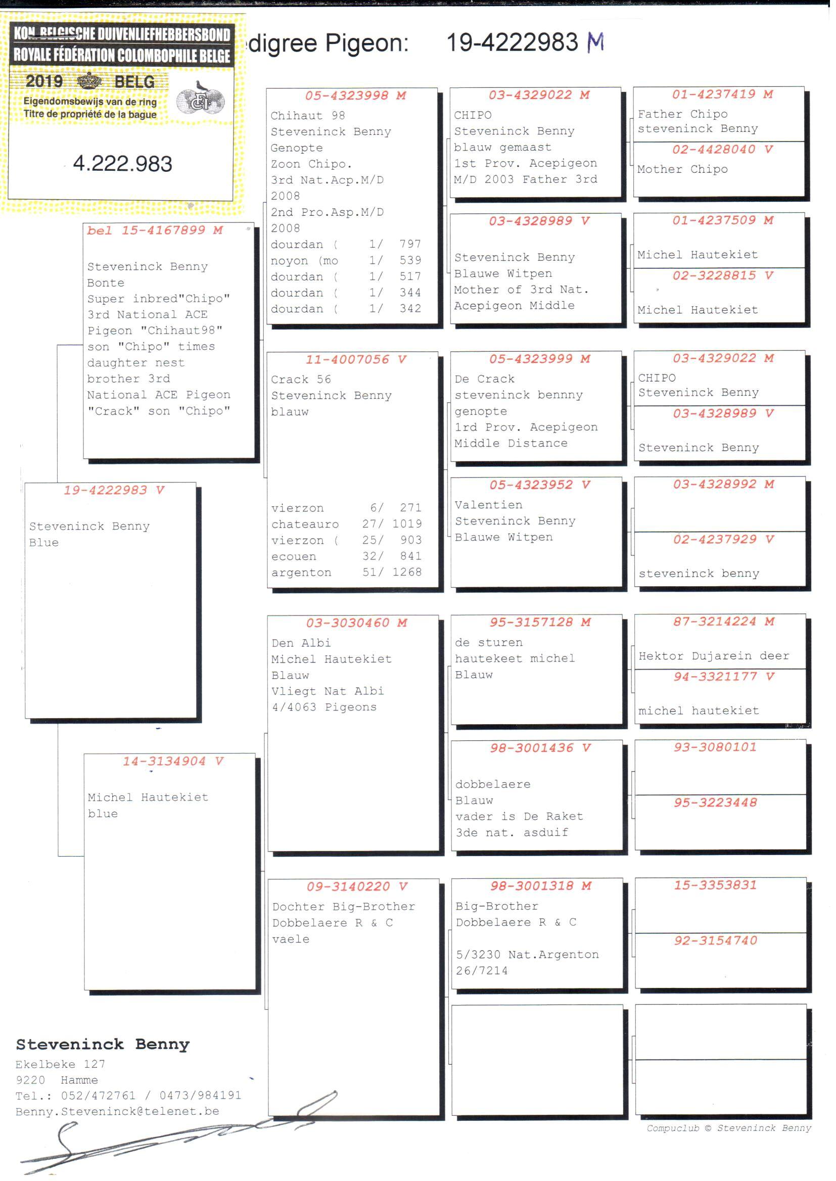 pedigree Inteelt Chipo x Dochter Den Albi 