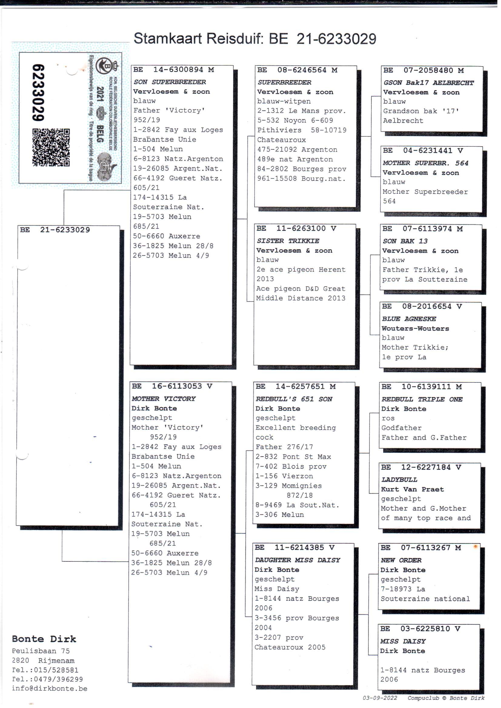 pedigree Zoon Superbreeder x Mother Victory 