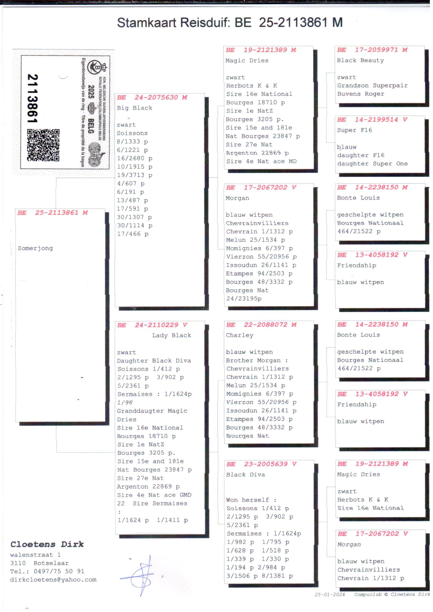 pedigree Big Black x Lady Black