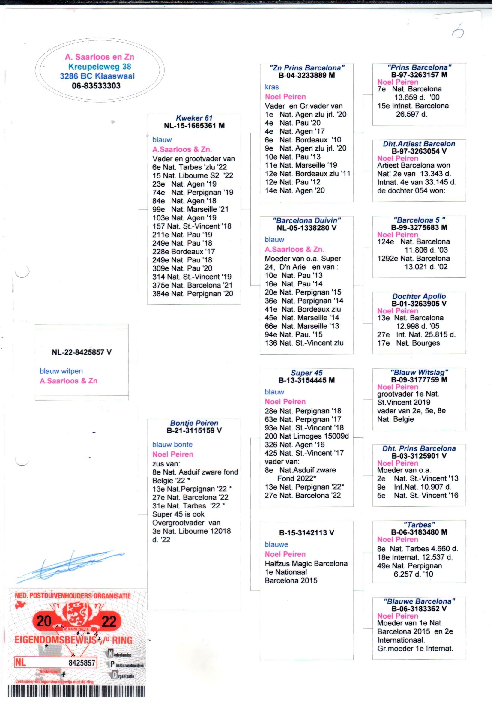 pedigree Kweker 61 x Bontje Peiren 