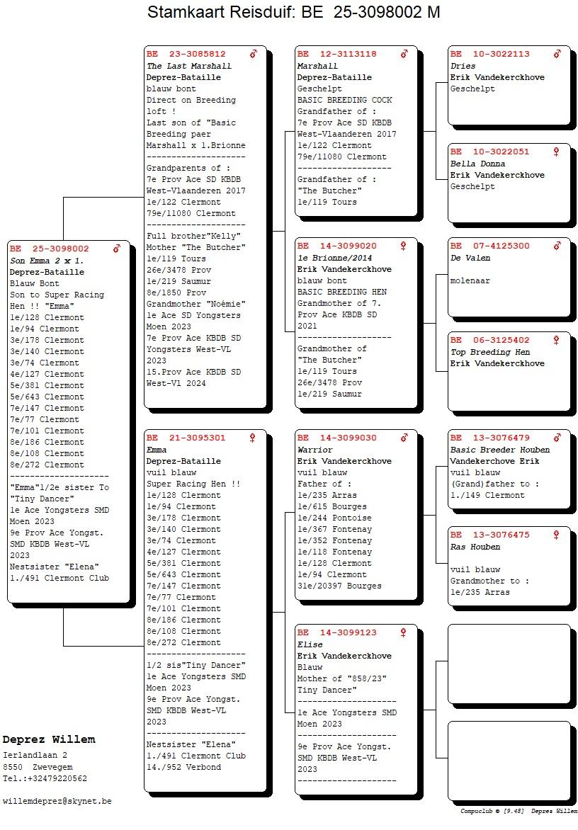 pedigree Zoon Emma 2 x 1.
