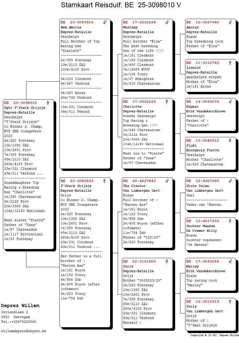 pedigree Dochter ’T Sterk Grijsje