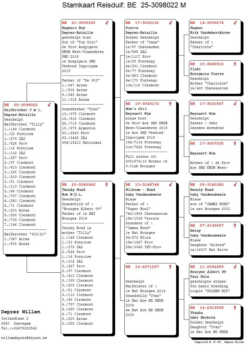 pedigree Halfbroer 5 x 1.