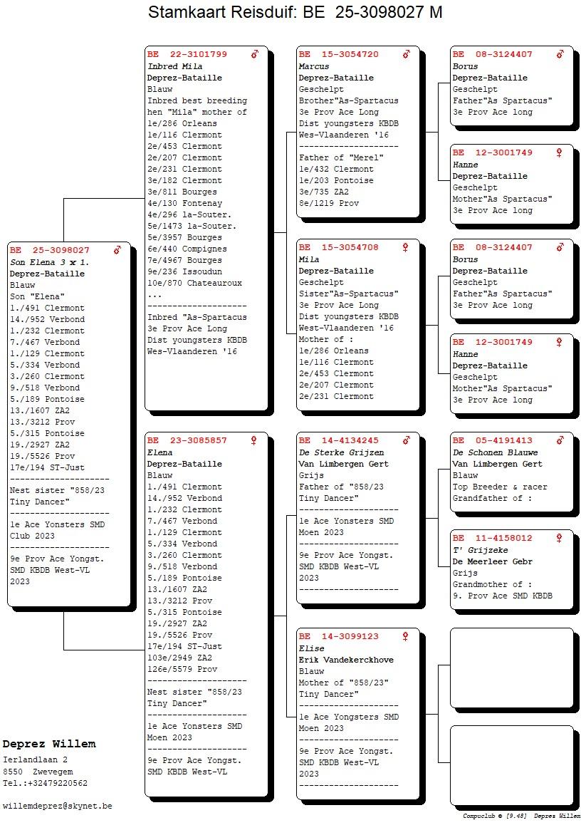 pedigree Zoon Elena 3 x 1.