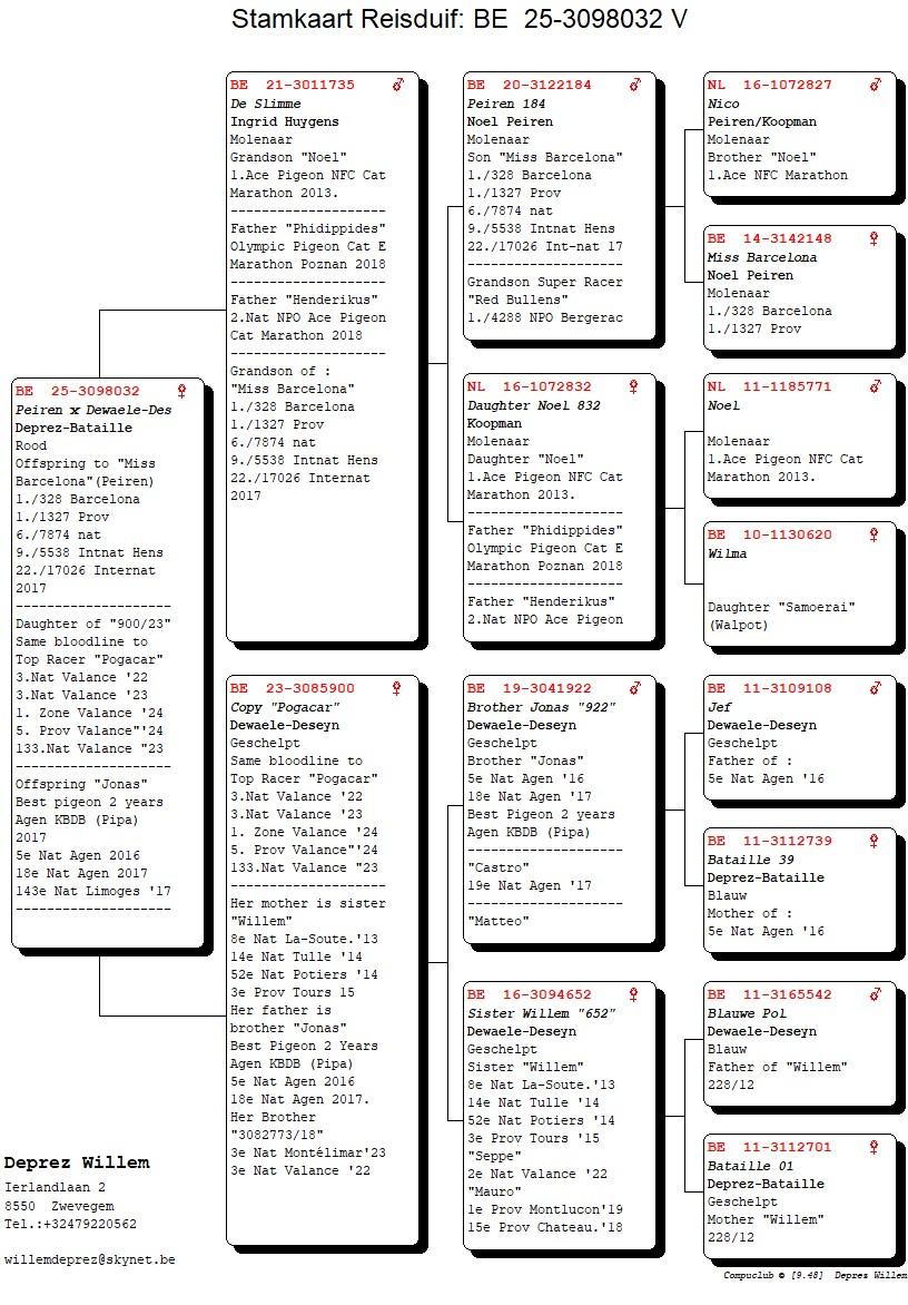 pedigree De Slimme x Copy Pogacar 