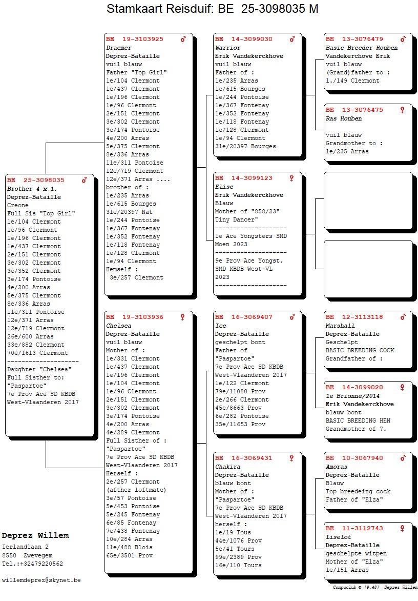 pedigree Broer 4 x 1.
