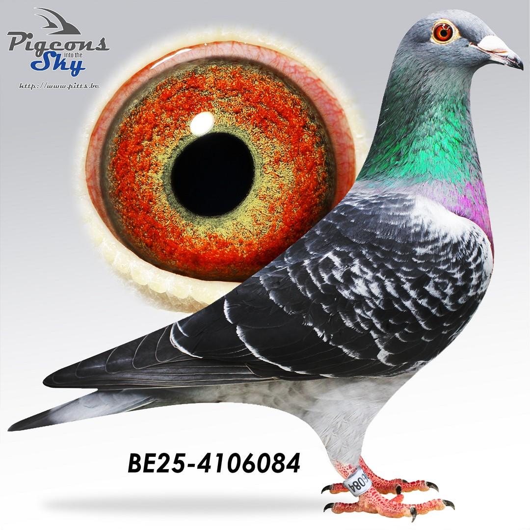 Young Champion x Mika