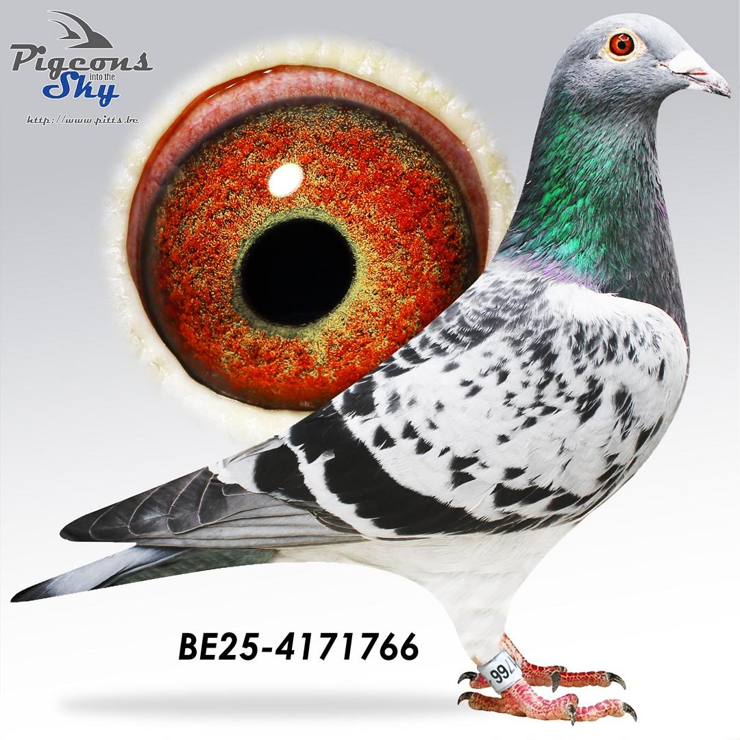 Red Son Didi 767 x Lina