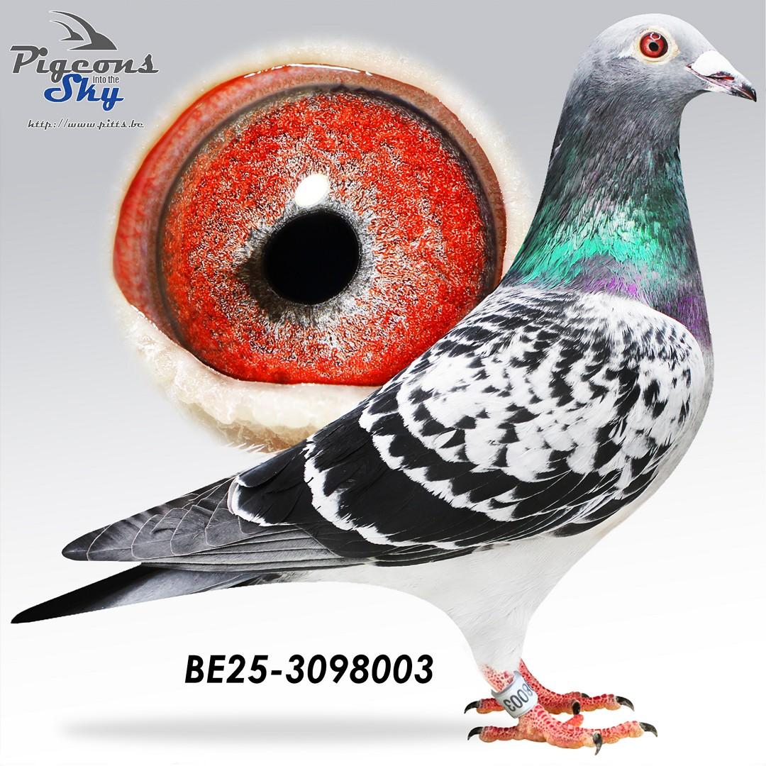 Dochter 9. Prov As KBDB