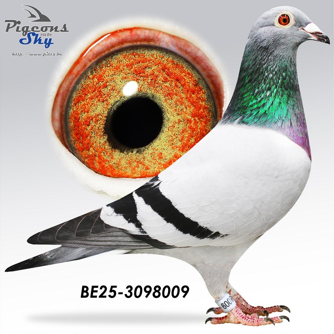 Dochter ’T Sterk Grijsje