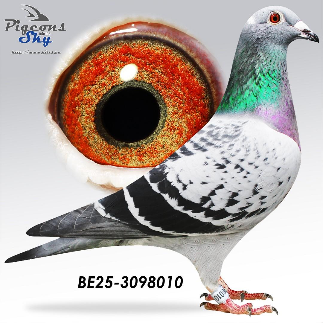 Dochter ’T Sterk Grijsje