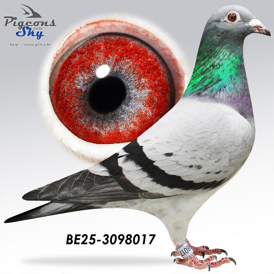 Zus 4. Nationaal Z Gueret