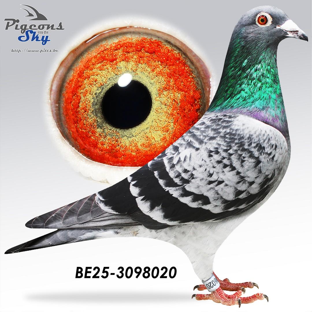 Broer 6. Provinciaal Vierzon