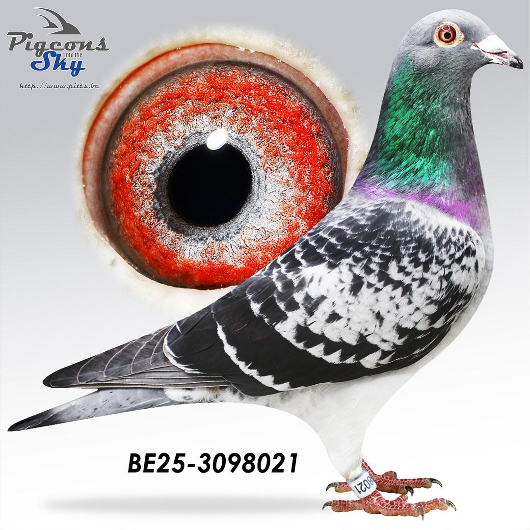 Broer 6. Provinciaal Vierzon