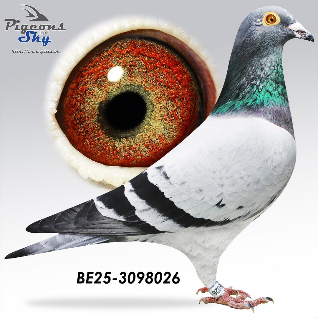 Lijn 7. Prov As KBDB