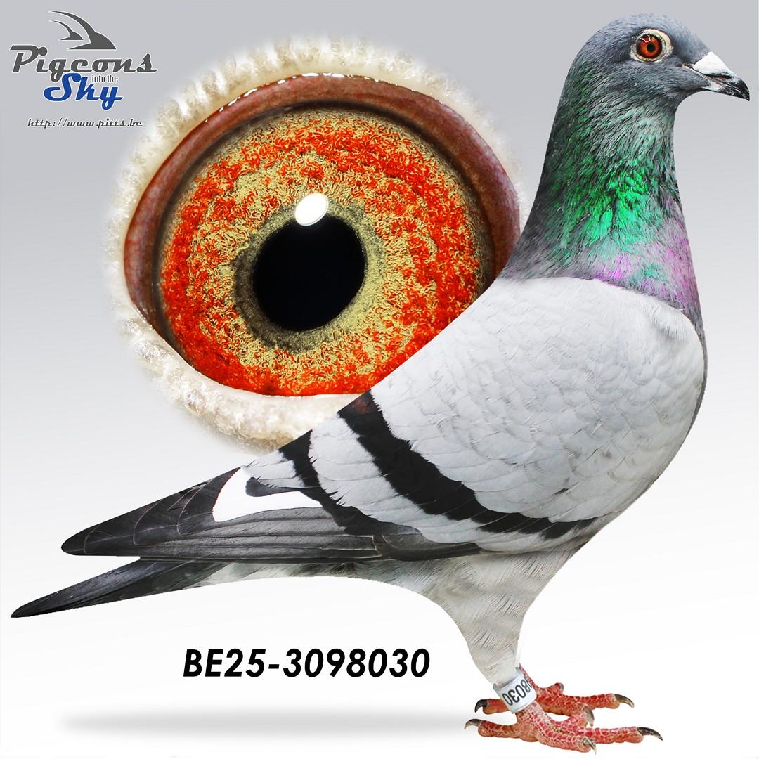 Broer 4. Nationaal Z Gueret