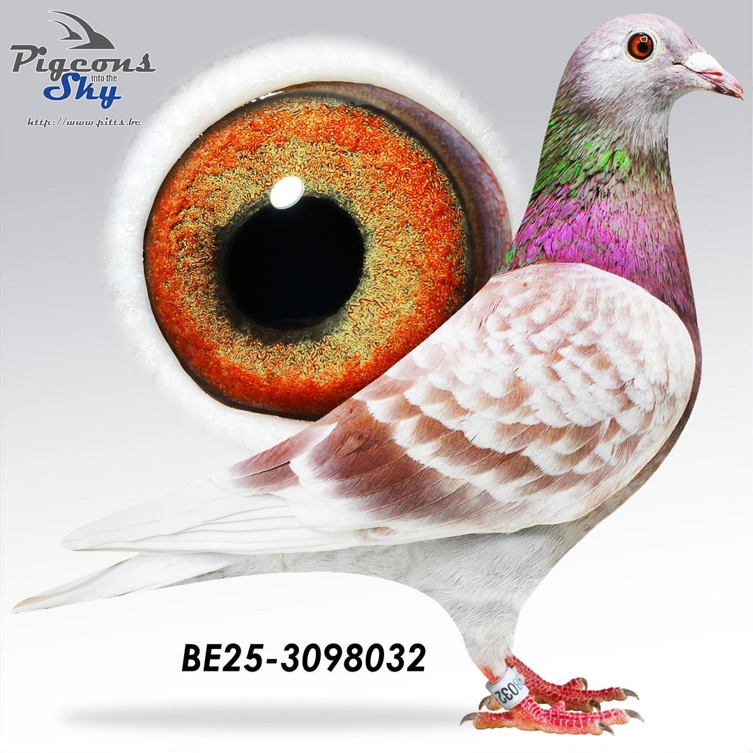 De Slimme x Copy Pogacar 