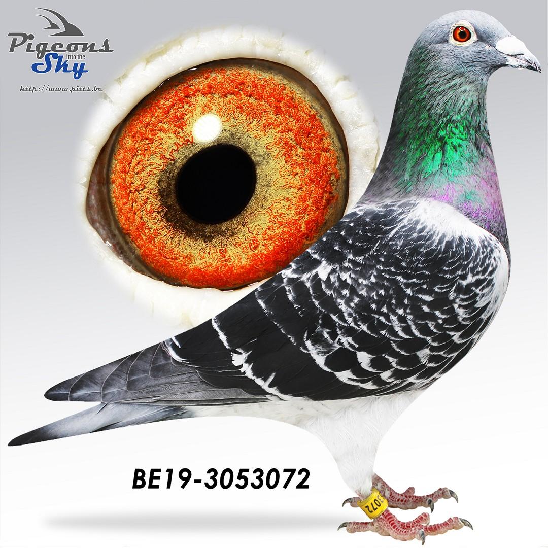 Zoon De 29 x Dochter Kleinzoon Figo 