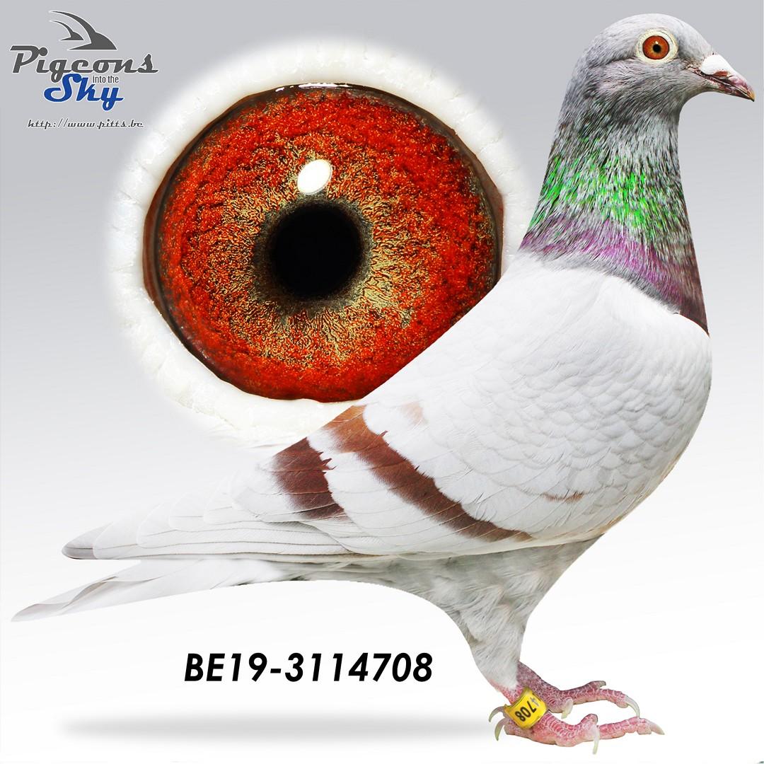 Nico x Miss Barcelona 