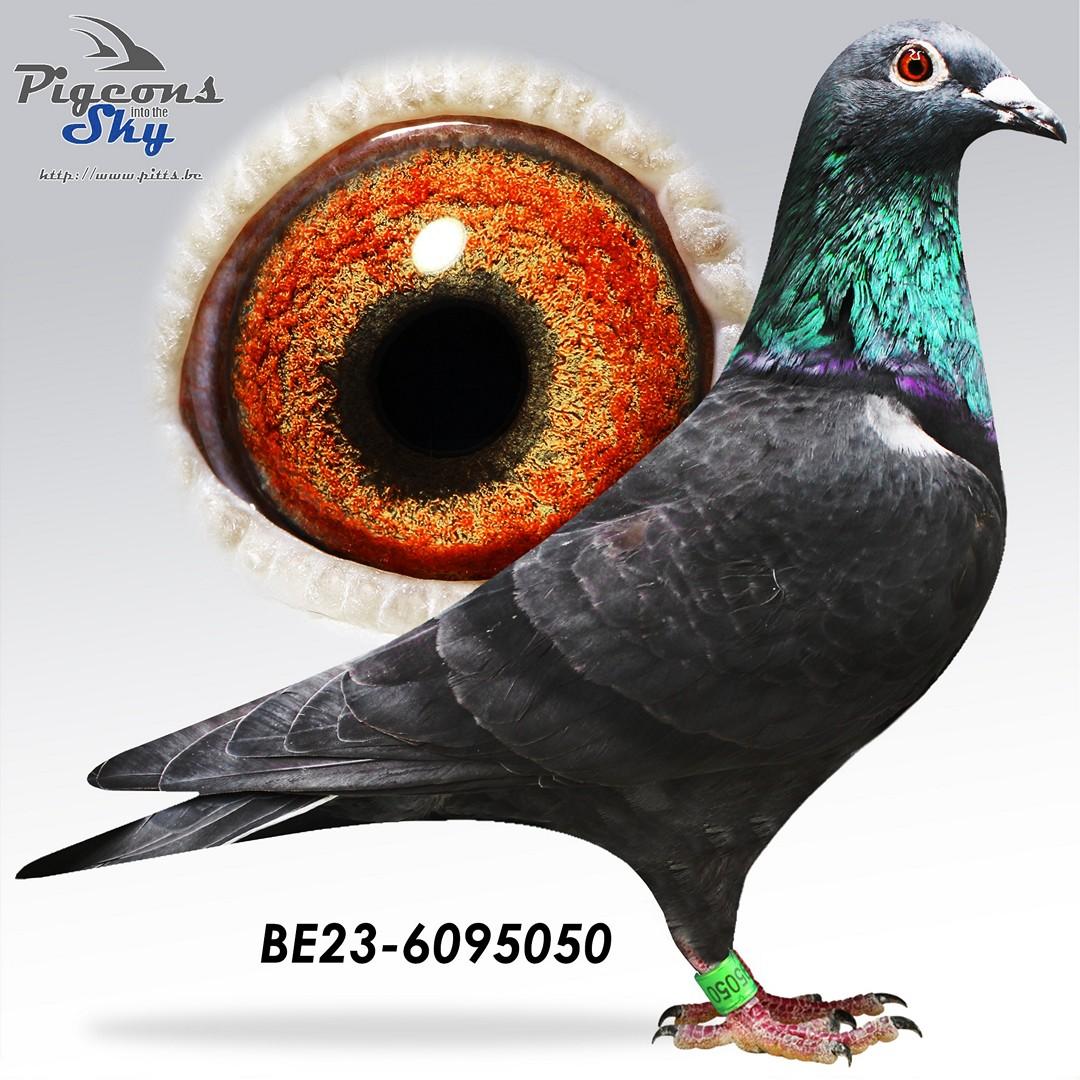 Lijn Van De Wouwer x Lijn Olivier Geyskens