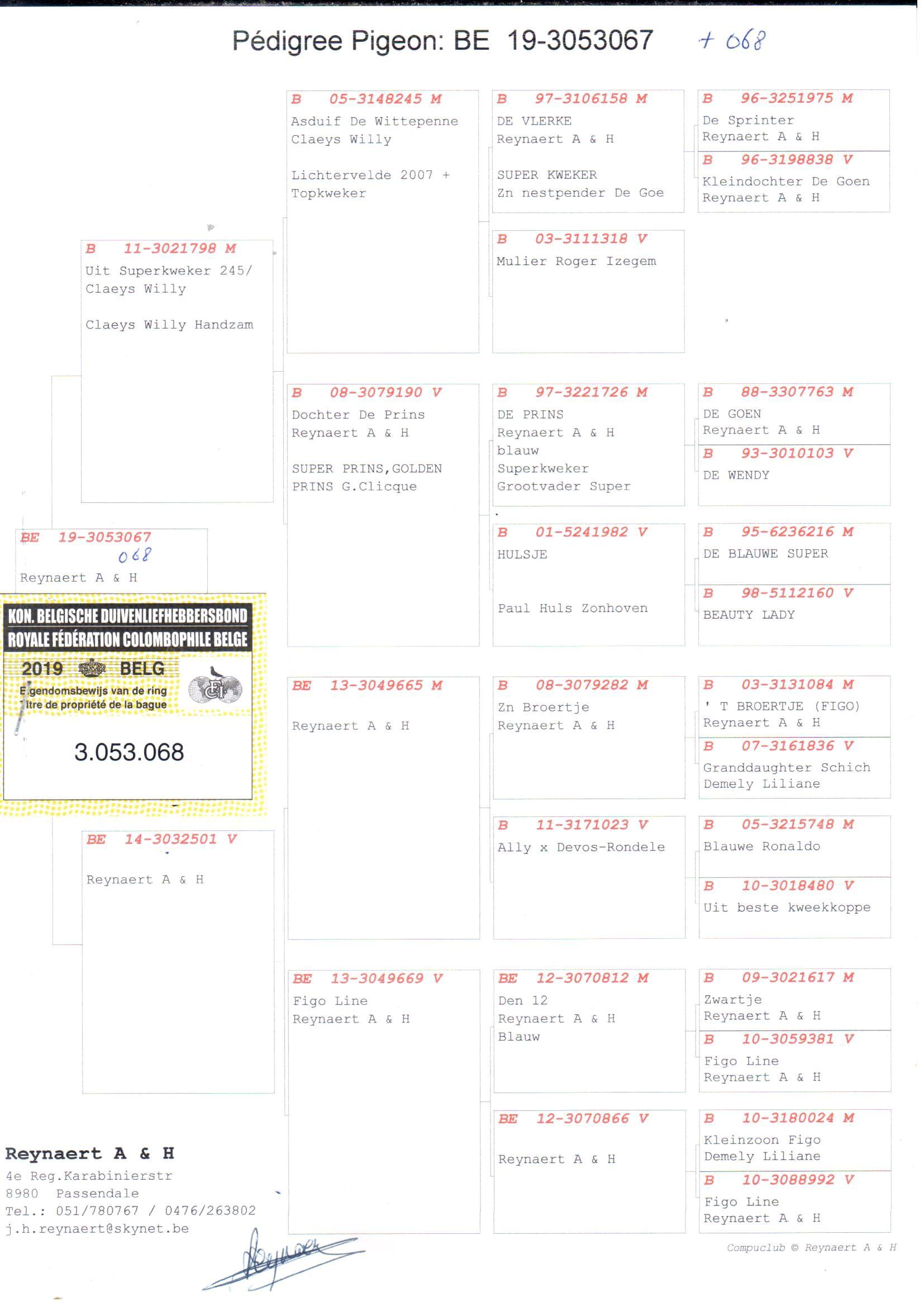 pedigree Zoon Asduif De Witpenne x Dochter Figo lijn