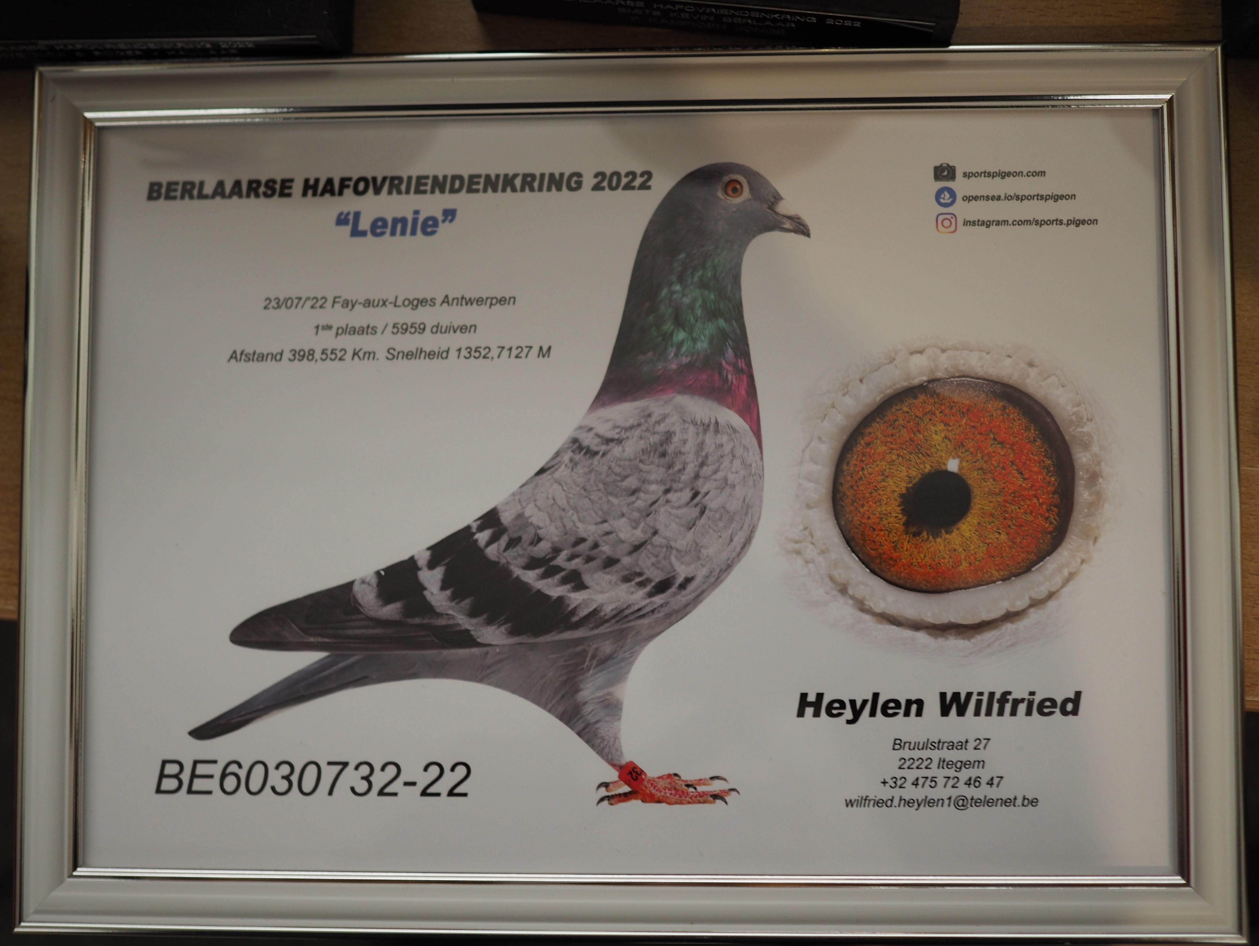 Heylen Wilfried-PITTS-BE22-6030732 'Leni'-PITTS-Foto-1